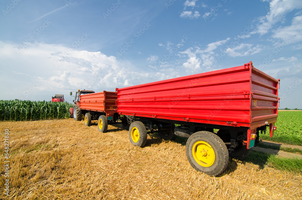 Obraz premium Harvester combine harvesting wheat on a sunny summer day
