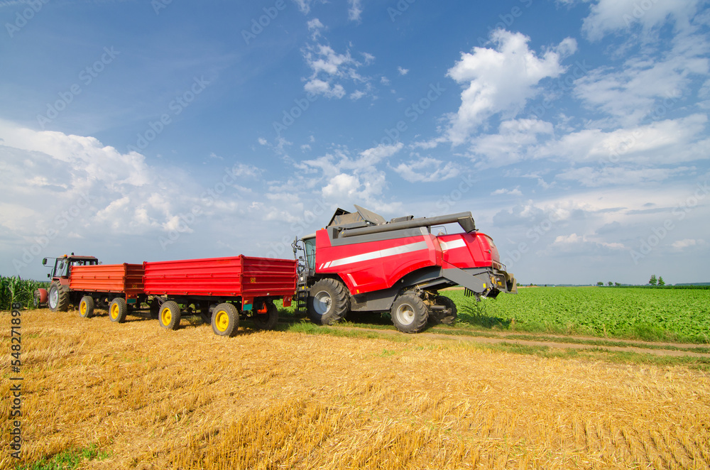 Fototapeta premium Harvester combine harvesting wheat on a sunny summer day