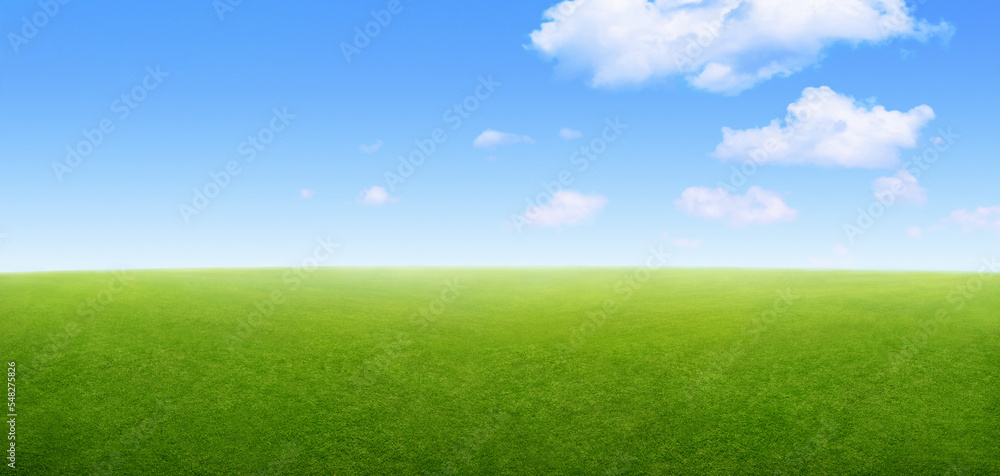 green grass field landscape and blue sky background green grass field landscape and blue sky background