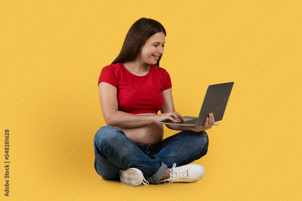 Online Shopping. Happy Young Pregnant Woman Using Laptop Computer For Internet Purchases Online Shopping. Happy Young Pregnant Woman Using Laptop Computer For Internet Purchases