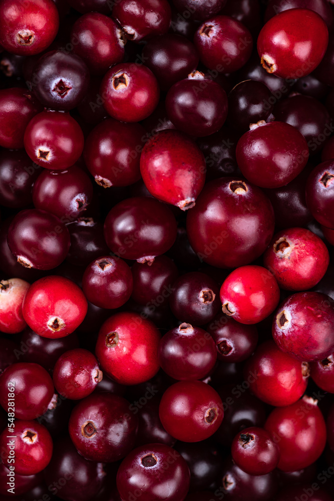 Macrophotography of cranberry berries. Background of red ripe berries. Macrophotography of cranberry berries. Background of red ripe berries.