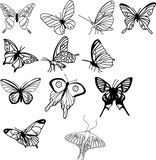 vector de bonitas mariposas III