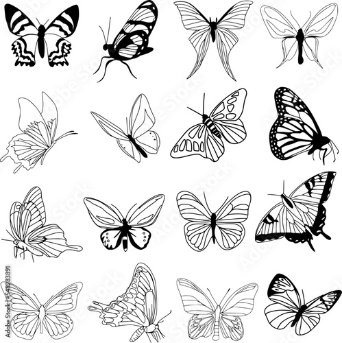 vector de bonitas mariposas II