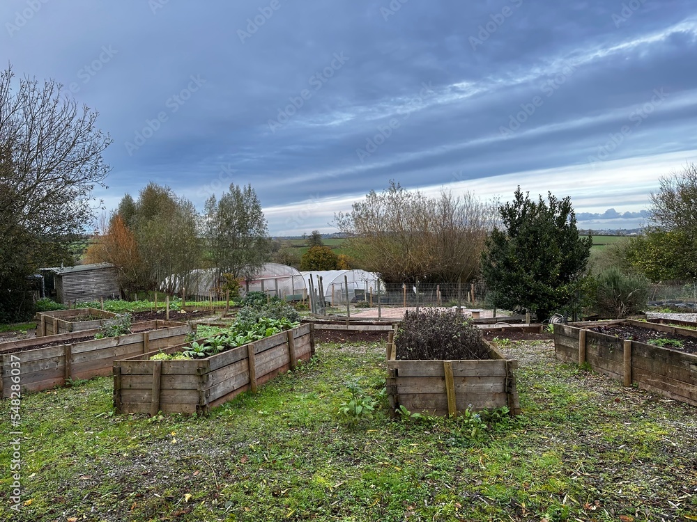 Farmland with wooden planters and polytunnels Farmland with wooden planters and polytunnels