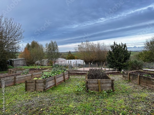 Farmland with wooden planters and polytunnels