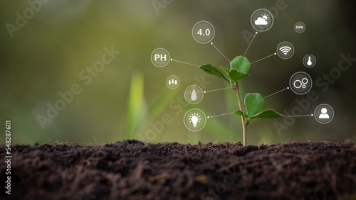 agricultural growth concept It has both the benefits of soil and plants. Including the use of artificial intelligence agriculture technology in 5G Industry 4.0 technology that needs to be improved. ai