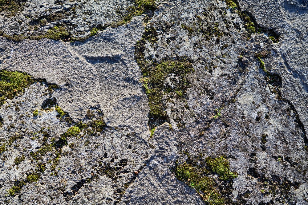Weathered sandstone texture background with holes, veins and moss.