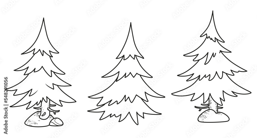 Spruce tree outlined variation for coloring page isolated on white background