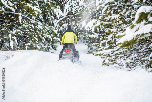 Принти на полотні Pilot on a sports snowmobile in a mountain forest