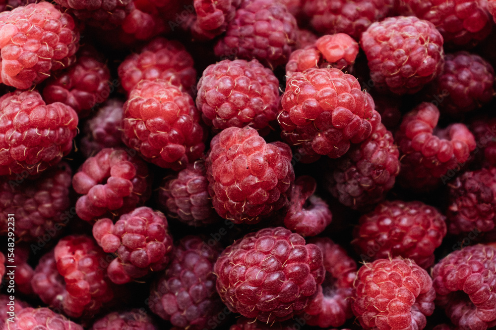 Raspberry background closeup. The concept of a healthy diet.Backdrop for your design. Raspberry background closeup. The concept of a healthy diet.Backdrop for your design.
