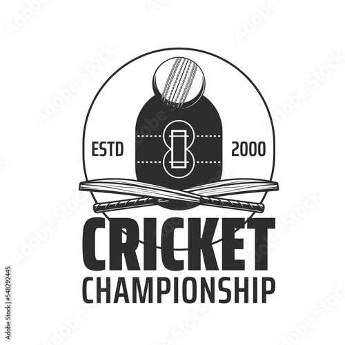 Cricket field vector icon with sport ball and crossed bats, pitch, outfield and infield zones of green grass play field. Cricket game championship match monochrome symbol of sporting competition