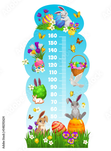 Kids height chart with Easter bunnies and eggs. Vector growth meter or stadiometer wall sticker with cartoon Easter egg basket and cute rabbits on green grass blades and spring flowers background