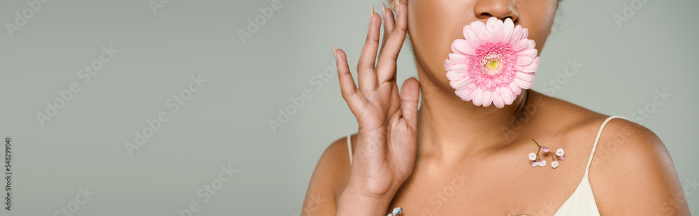 cropped view of african american woman with flowers on body and gerbera in mouth isolated on grey, banner. cropped view of african american woman with flowers on body and gerbera in mouth isolated on grey, banner.
