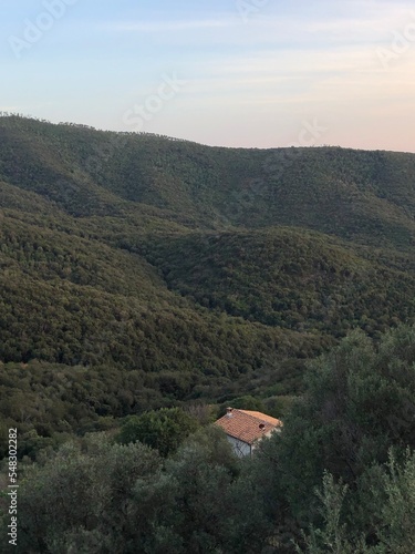 Wallpaper Mural view on the lonely house in a middle of green forest in a mountains Torontodigital.ca