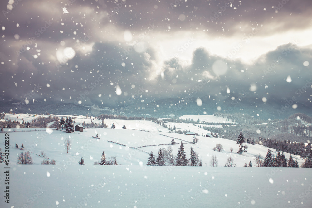 Wooden houses under snow