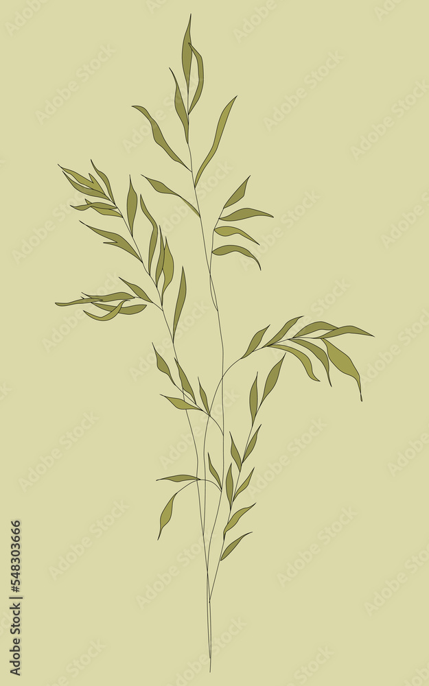 Obraz premium A branch of grass. Black silhouette of a plant on a white background. Grass.