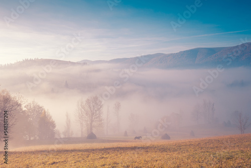 A dreamy view of the morning Carpathian mountains with sunlight through the fog in the valley. Rural scene with haystacks and grazing horse on pasture.