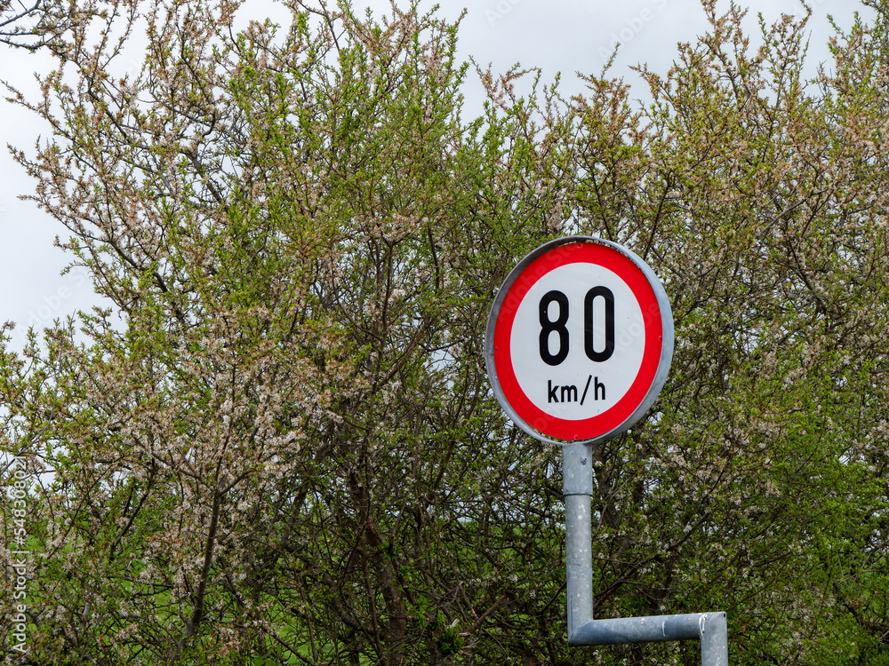Round sign warning about speed limits, trees. the speed limit is 80 km ...