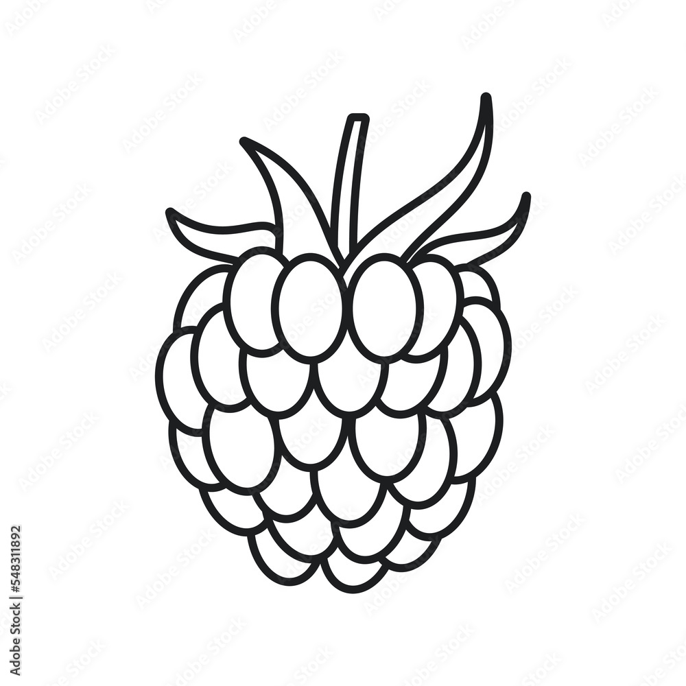 Raspberry Line Icon Isolated On White Background Raspberry Line Icon Isolated On White Background