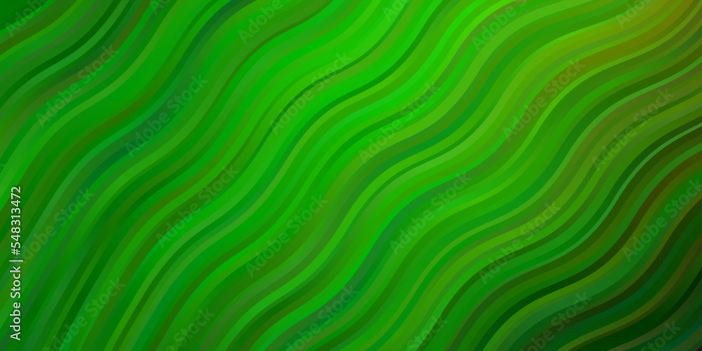 Light Green vector texture with circular arc. Light Green vector texture with circular arc.
