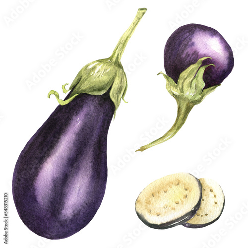 Set of aubergines watercolor illustrated isolated on White. healthy food ingredients purple vegetables. photo