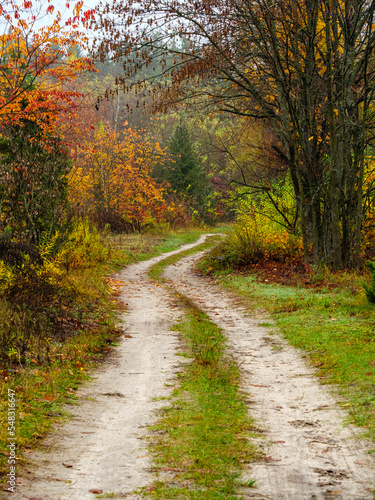 Winding dirt road through the autumn park
