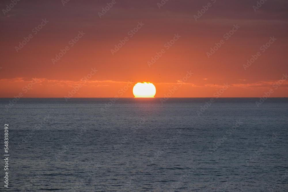 Beautiful horizon sunrise sunset dusk dawn twilight blue hour over ocean sea with sea gulls nature seascape scenery