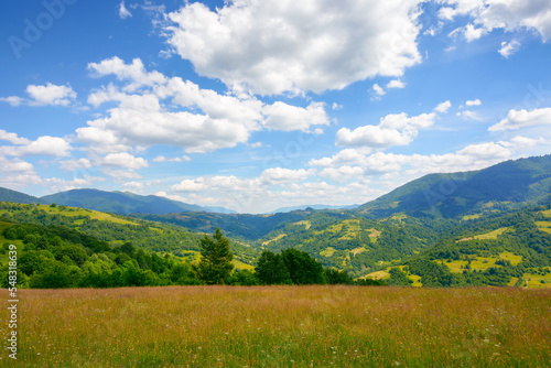 green pasture in carpathian mountain landscape. beautiful countryside scenery in summer. sunny weather with fluffy clouds © Pellinni