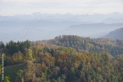 Schweiz, Alpen