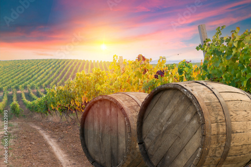 Glass Of Wine With Grapes And Barrel On A Sunny Background. Italy Tuscany Region. High quality photo