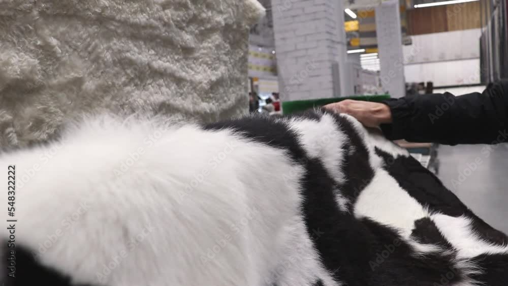 A customer touches an expensive black and white natural hide carpet. A customer touches an expensive black and white natural hide carpet.