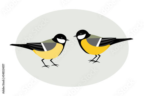 Two birds, male and female Great Tits.