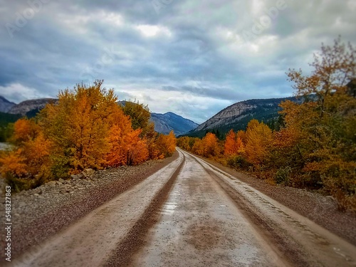 Autumn Mountain Roads