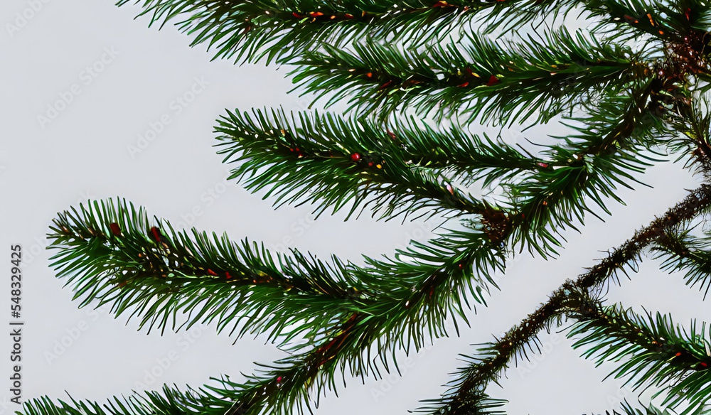 Obraz premium árvore de natal