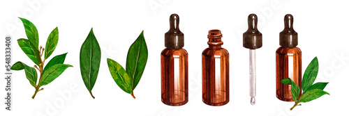 Fototapete Bay set essential oil, bay leaves, amber glass bottle, dropper