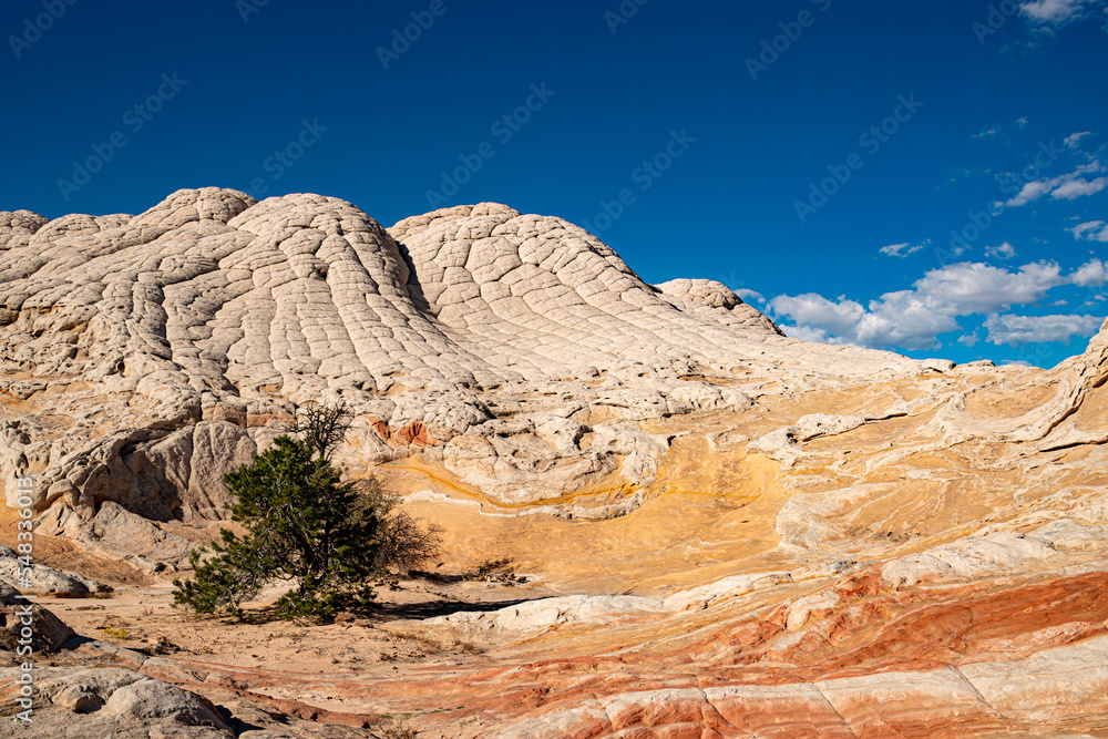 Fototapeta premium White Pockets