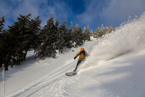 An active snowboarder rides among snow-covered spruces leaving a wave of snow behind photo