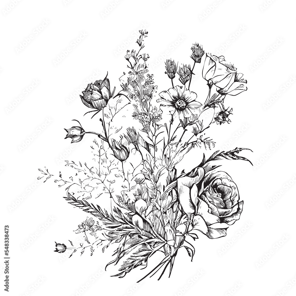 Provence flowers hand drawn sketch Vector illustration.