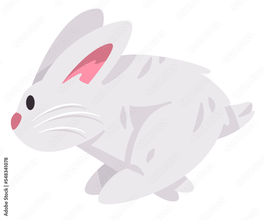 Running jumping rabbits bunnies or bunny cute adorable animal with furry hair in white color Running jumping rabbits bunnies or bunny cute adorable animal with furry hair in white color