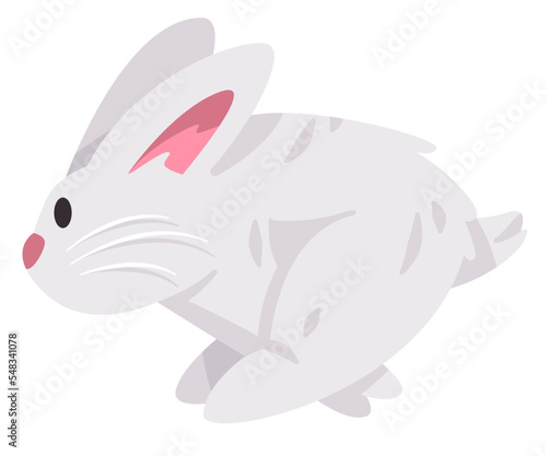 Running jumping rabbits bunnies or bunny cute adorable animal with furry hair in white color