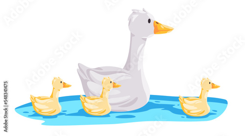 Goose mother swim with kids children in water drawing illustration white swan