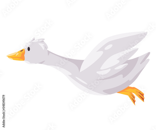 Flying goose white swan in cartoon vector illustration