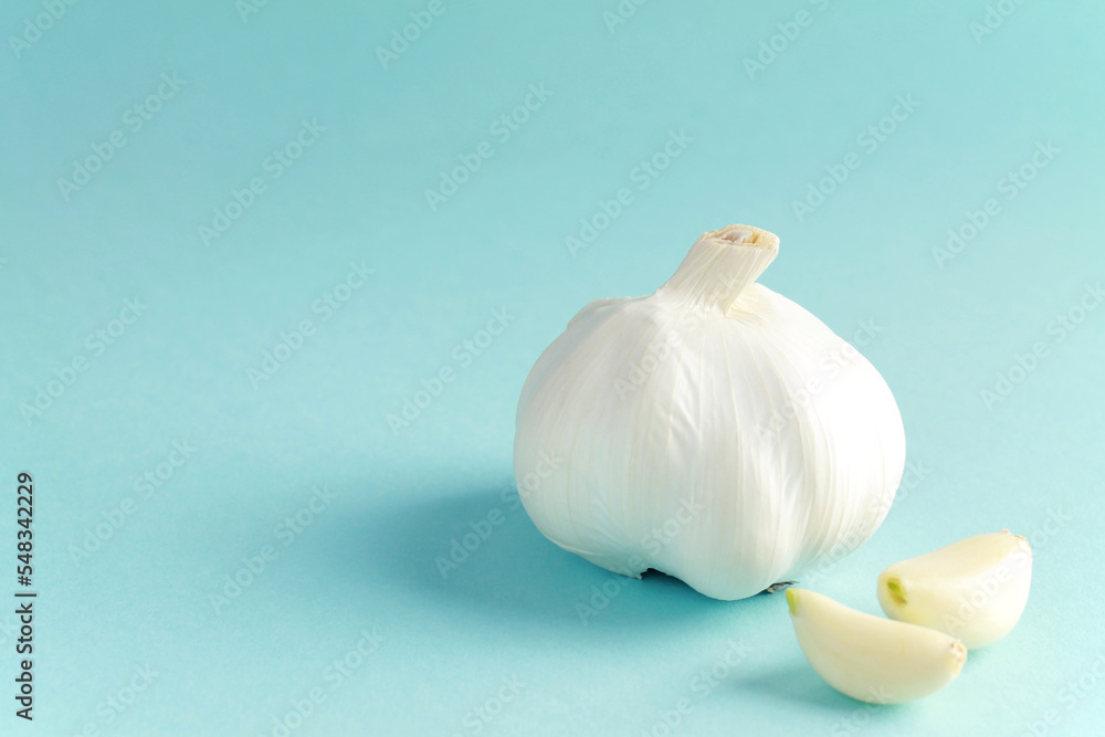 Fresh white unpeeled head bulb of garlic and garlic cloves on blue