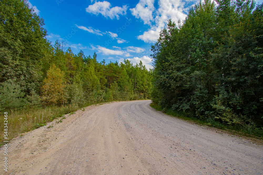 A gravel road curve in late summer or autumn with forest on the sides, blue cloudy sky and copy space on the trees