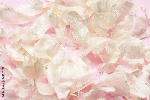 Fresh white garlic peel on pink color background. Vegan, organic, vitamins. Natural antibiotic, antioxidant, Allicin. Top view. 