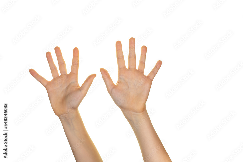 hands raised up, open palms on transparent background, counting to 10 hands raised up, open palms on transparent background, counting to 10