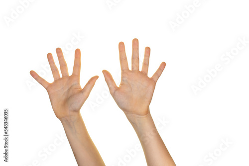 hands raised up, open palms on transparent background, counting to 10