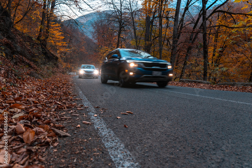 Cars eat on an asphalt road through the forest © Daniel
