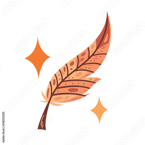 feather bird Boho style