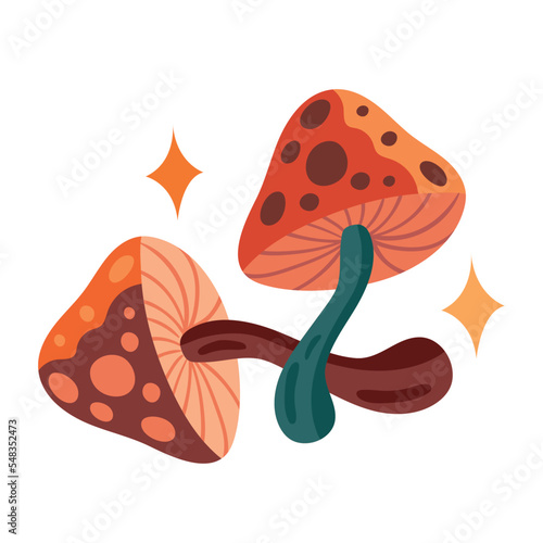 fungus garden Boho style